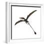 Eudimorphodon, a Pterosuar from the Late Triassic Period-null-Framed Premium Giclee Print