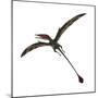 Eudimorphodon, a Pterosuar from the Late Triassic Period-null-Mounted Premium Giclee Print