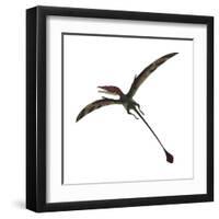 Eudimorphodon, a Pterosuar from the Late Triassic Period-null-Framed Art Print