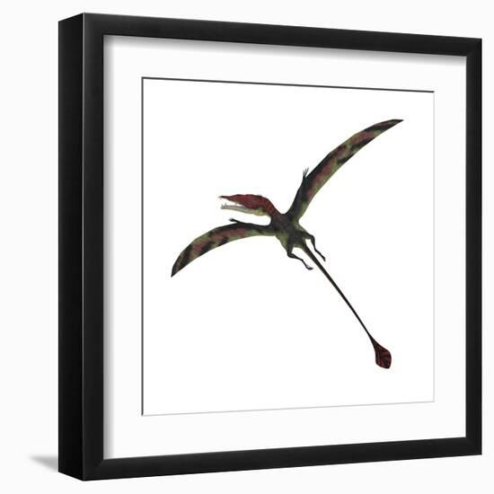 Eudimorphodon, a Pterosuar from the Late Triassic Period-null-Framed Art Print