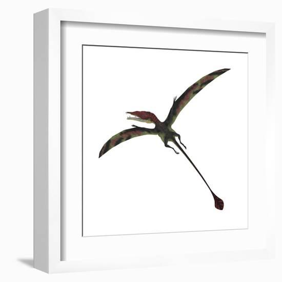 Eudimorphodon, a Pterosuar from the Late Triassic Period-null-Framed Art Print