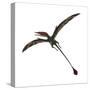 Eudimorphodon, a Pterosuar from the Late Triassic Period-null-Stretched Canvas