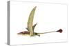 Eudimorphodon, Artwork-null-Stretched Canvas