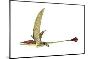 Eudimorphodon, Artwork-null-Mounted Photographic Print