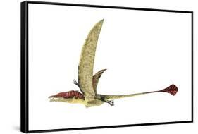 Eudimorphodon, Artwork-null-Framed Stretched Canvas
