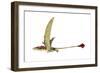 Eudimorphodon, Artwork-null-Framed Photographic Print