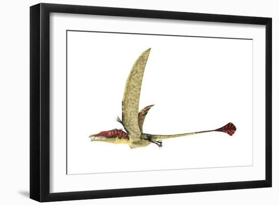 Eudimorphodon, Artwork-null-Framed Photographic Print