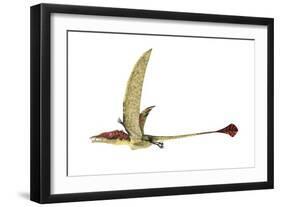 Eudimorphodon, Artwork-null-Framed Photographic Print