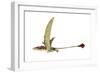 Eudimorphodon, Artwork-null-Framed Photographic Print