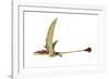 Eudimorphodon, Artwork-null-Framed Photographic Print