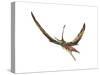 Eudimorphodon Flying Prehistoric Reptile-null-Stretched Canvas