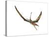 Eudimorphodon Flying Prehistoric Reptile-null-Stretched Canvas