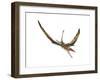 Eudimorphodon Flying Prehistoric Reptile-null-Framed Art Print