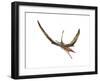 Eudimorphodon Flying Prehistoric Reptile-null-Framed Art Print