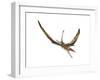 Eudimorphodon Flying Prehistoric Reptile-null-Framed Art Print