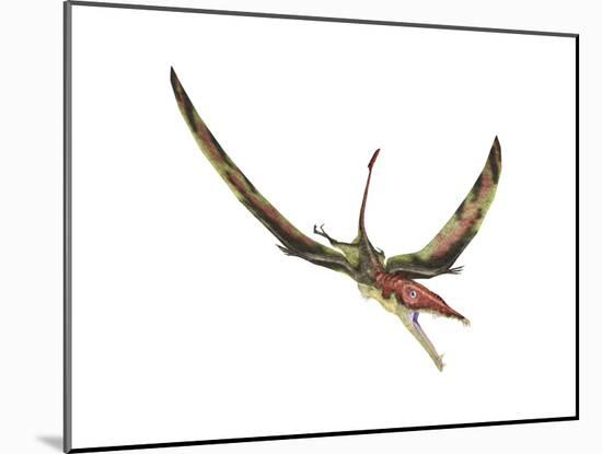 Eudimorphodon Flying Prehistoric Reptile-null-Mounted Art Print