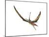 Eudimorphodon Flying Prehistoric Reptile-null-Mounted Art Print
