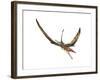 Eudimorphodon Flying Prehistoric Reptile-null-Framed Art Print