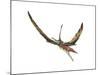 Eudimorphodon Flying Prehistoric Reptile-null-Mounted Art Print