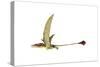 Eudimorphodon Flying Prehistoric Reptile-null-Stretched Canvas