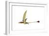 Eudimorphodon Flying Prehistoric Reptile-null-Framed Art Print