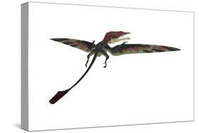 Eudimorphodon Was a Pterosaur That Lived During the Triassic Period-null-Stretched Canvas