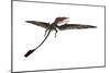 Eudimorphodon Was a Pterosaur That Lived During the Triassic Period-null-Mounted Art Print