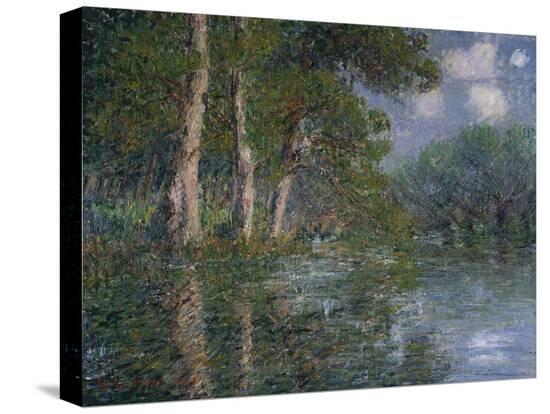 Stretched Canvas Print, , large