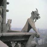 Gargoyle from the Balustrade of the Grande Galerie, Replica of a 12th Century Original-Eug?ne Viollet-le-Duc-Framed Stretched Canvas