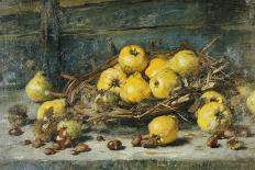 A Basket of Pears with Chestnuts, 1894-Eugeen Joors-Stretched Canvas