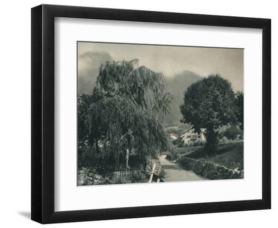 Photographic Print, , large