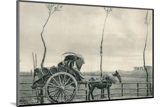 Photographic Print, , large