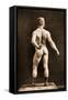 Eugen Sandow, in Classical Ancient Greco-Roman Pose, C.1893-Napoleon Sarony-Framed Stretched Canvas