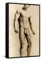 Eugen Sandow, in Classical Ancient Greco-Roman Pose, C.1893-Napoleon Sarony-Framed Stretched Canvas