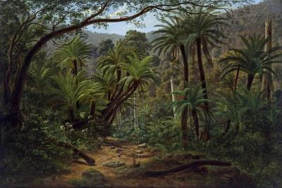 Ferntree Gully in the Dandenong Ranges, 1857