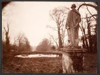 Silphium Iaciniatum, Kompassplanze, 1900-1928-Eugene Atget-Giclee Print