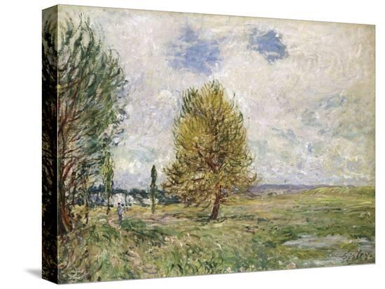 Stretched Canvas Print, , large