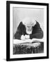 Eugene Chevreul Busy at Work-Nadar-Framed Photographic Print