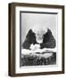 Eugene Chevreul Busy at Work-Nadar-Framed Photographic Print