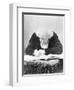 Eugene Chevreul Busy at Work-Nadar-Framed Photographic Print