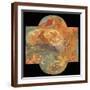 Brown Frame