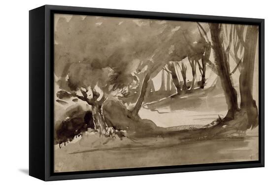 Stretched Canvas Print, , large