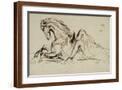 Brown Frame