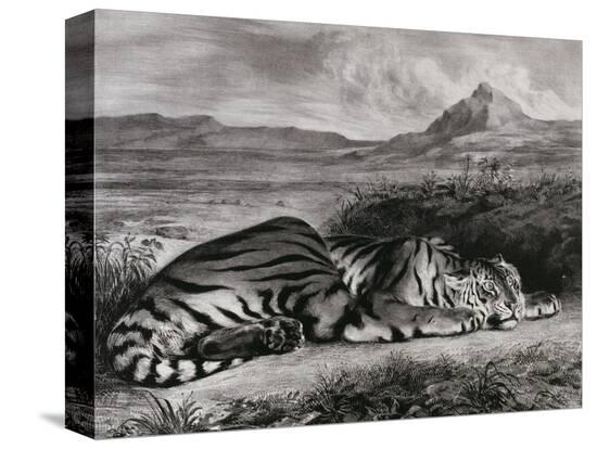 Stretched Canvas Print, , large