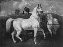 An Orientalist Chieftain on Horseback, 1863-Eugene Fromentin-Giclee Print
