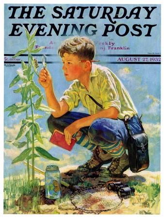 "Boy Botanist," Saturday Evening Post Cover, August 27, 1932