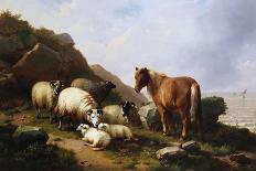 A Pony and Sheep on a Cliff with a Sailing Vessel Beyond, 1868-Eugene Joseph Verboeckhoven-Giclee Print