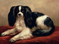 King Charles Spaniel Seated on a Red Cushion-Eugene Joseph Verboeckhoven-Giclee Print