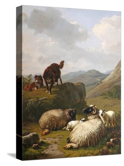 Stretched Canvas Print, , large