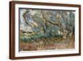 Brown Frame